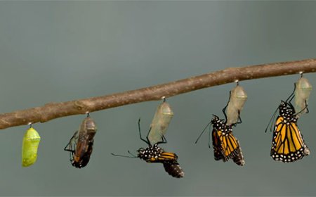 परिवर्तन या जगात