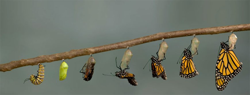 परिवर्तन या जगात